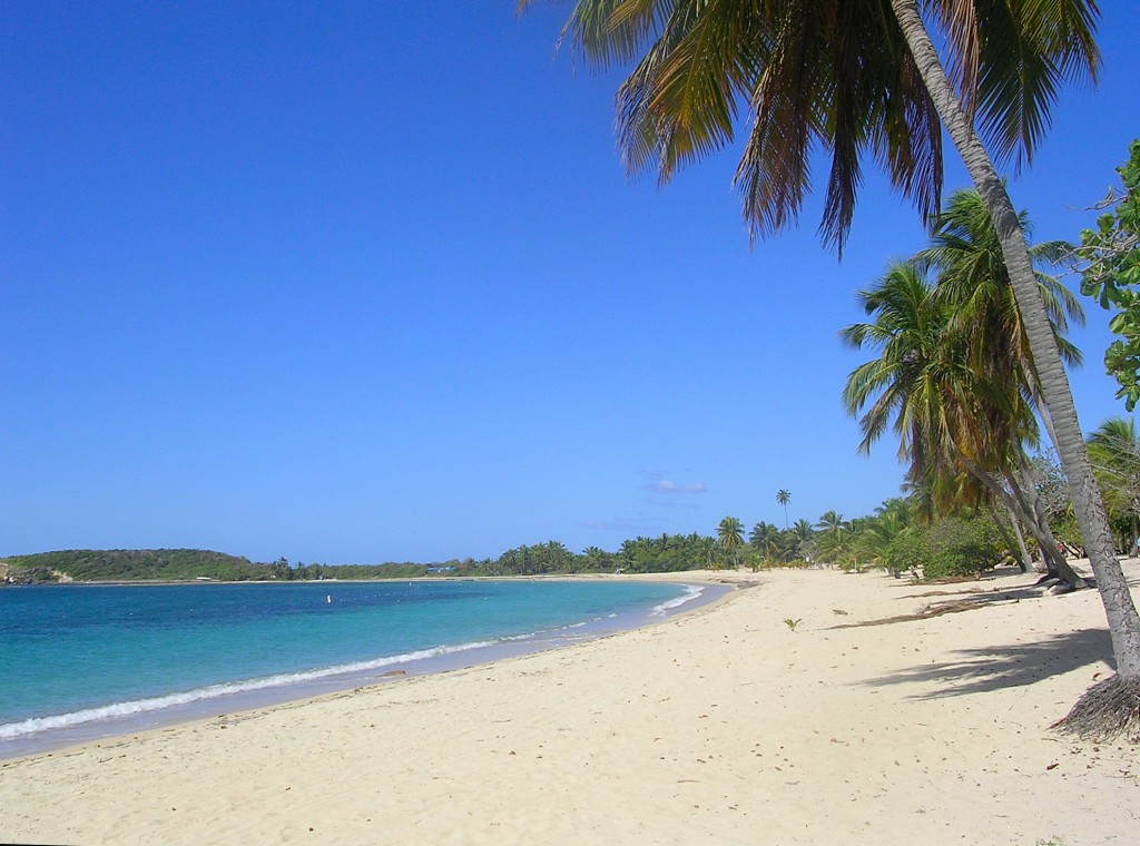 Copy (2) of DSCN1078